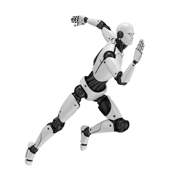 High-fidelity 3D humanoid animations